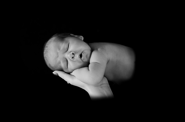 newborn photo